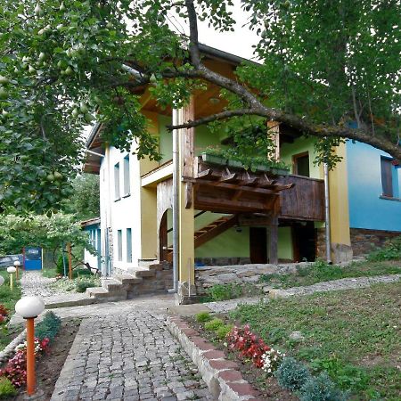 Chuchi Guest House 1 Zlatna Panega Luaran gambar