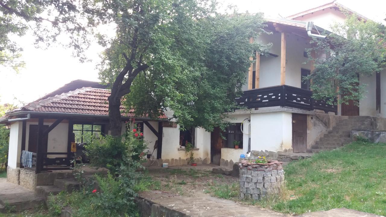Chuchi Guest House 1 Zlatna Panega Luaran gambar