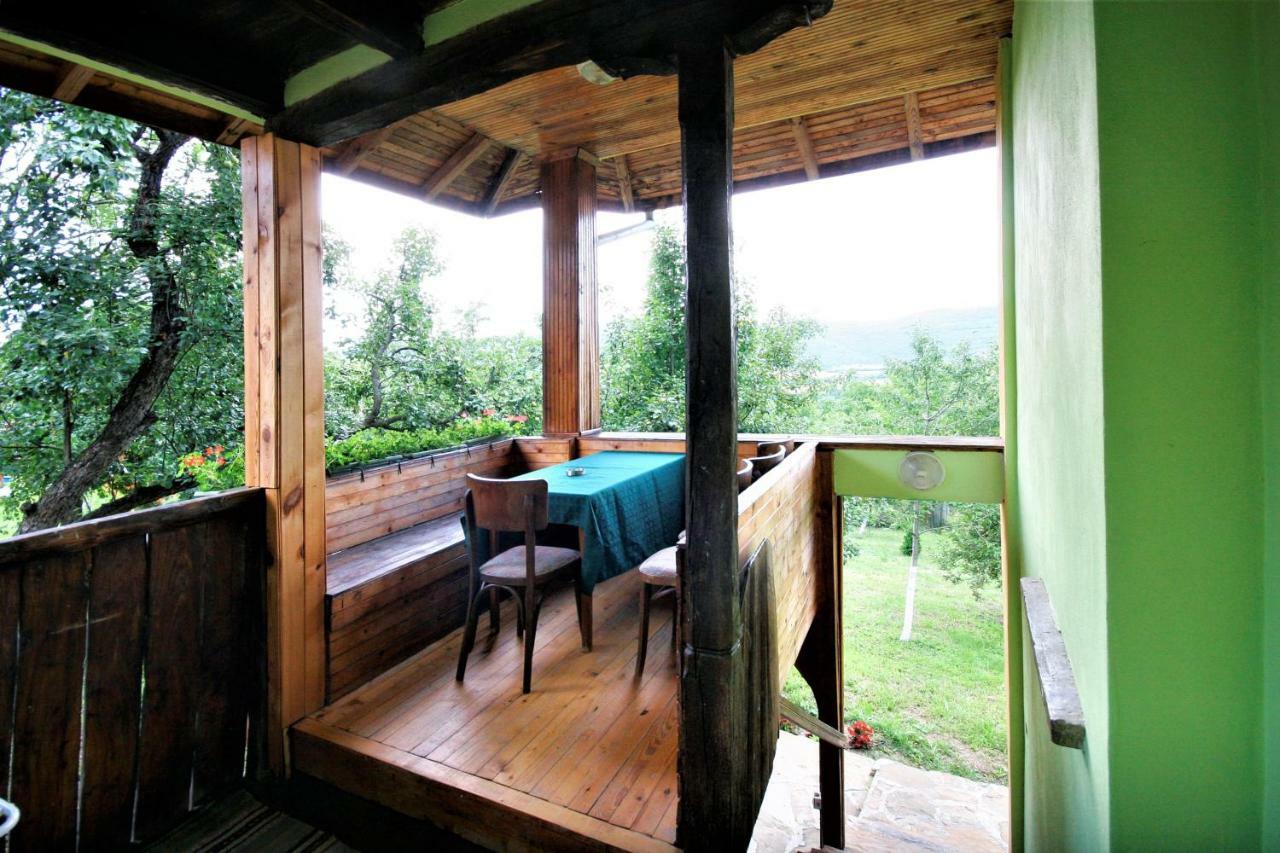 Chuchi Guest House 1 Zlatna Panega Luaran gambar