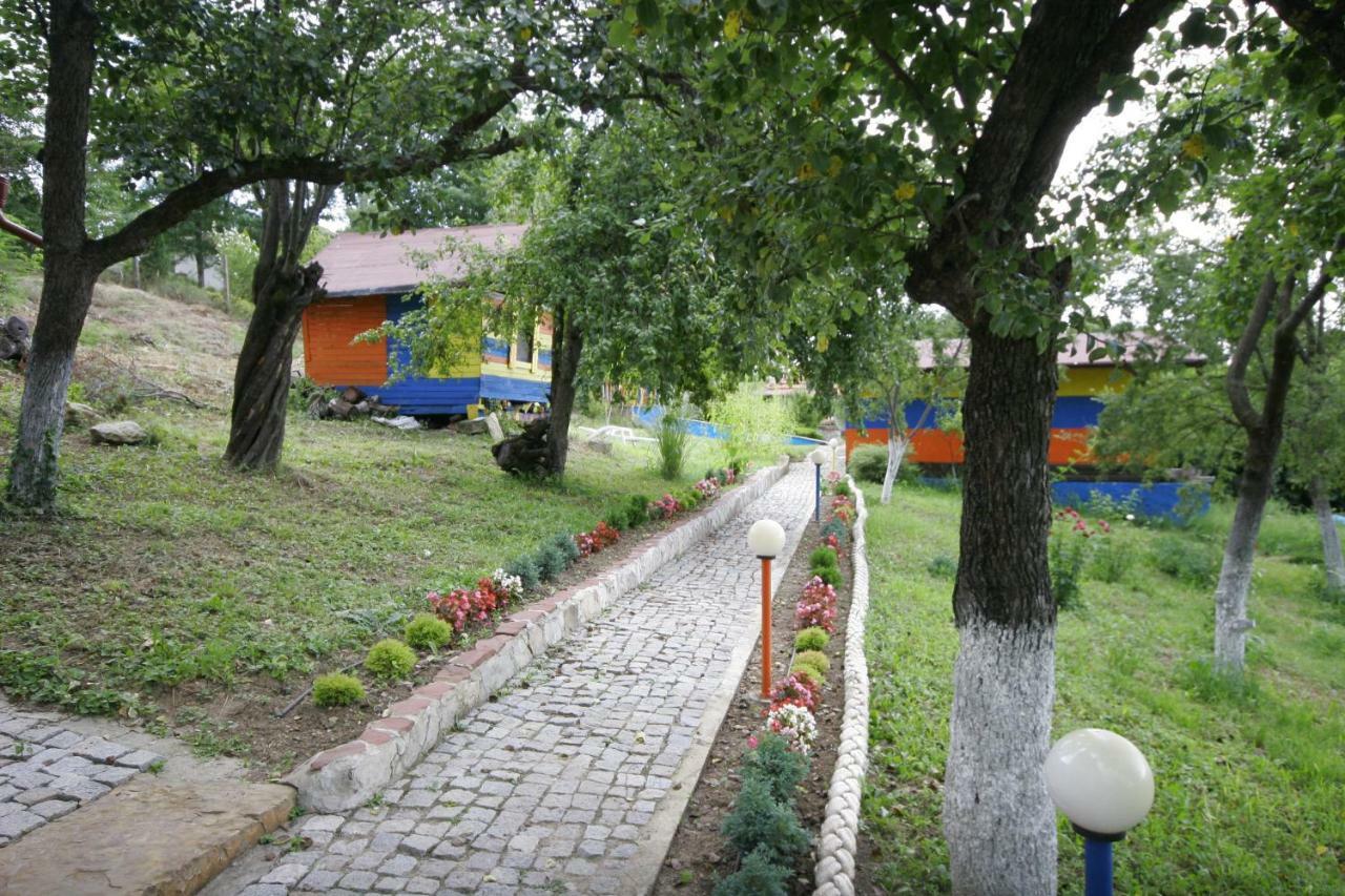 Chuchi Guest House 1 Zlatna Panega Luaran gambar